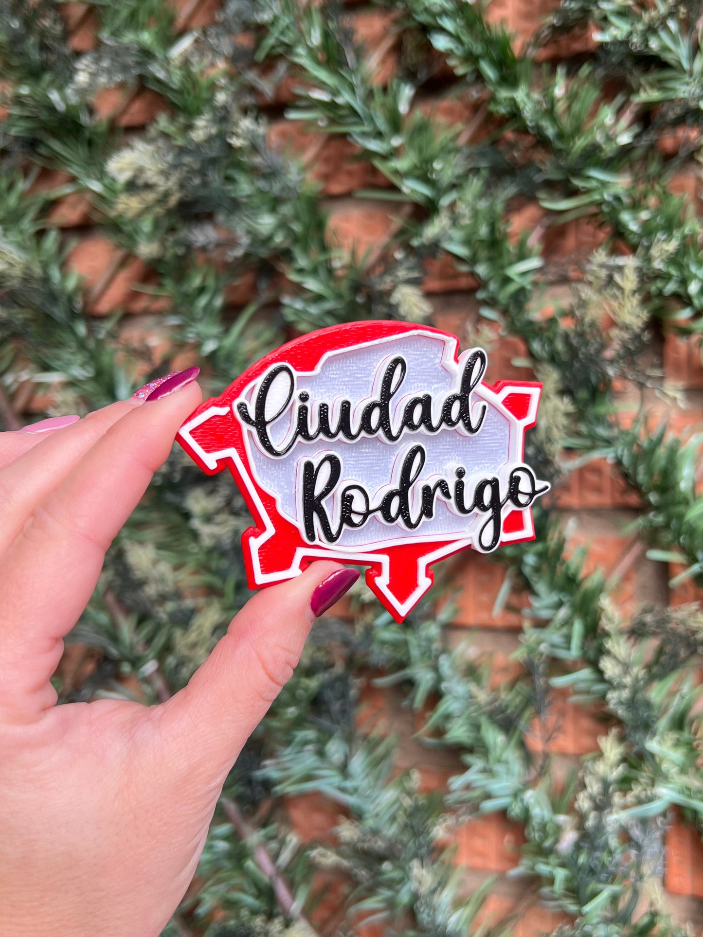 3D Ciudad Rodrigo