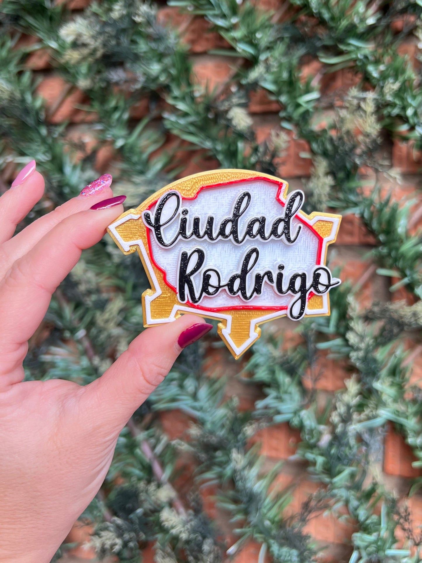 3D Ciudad Rodrigo