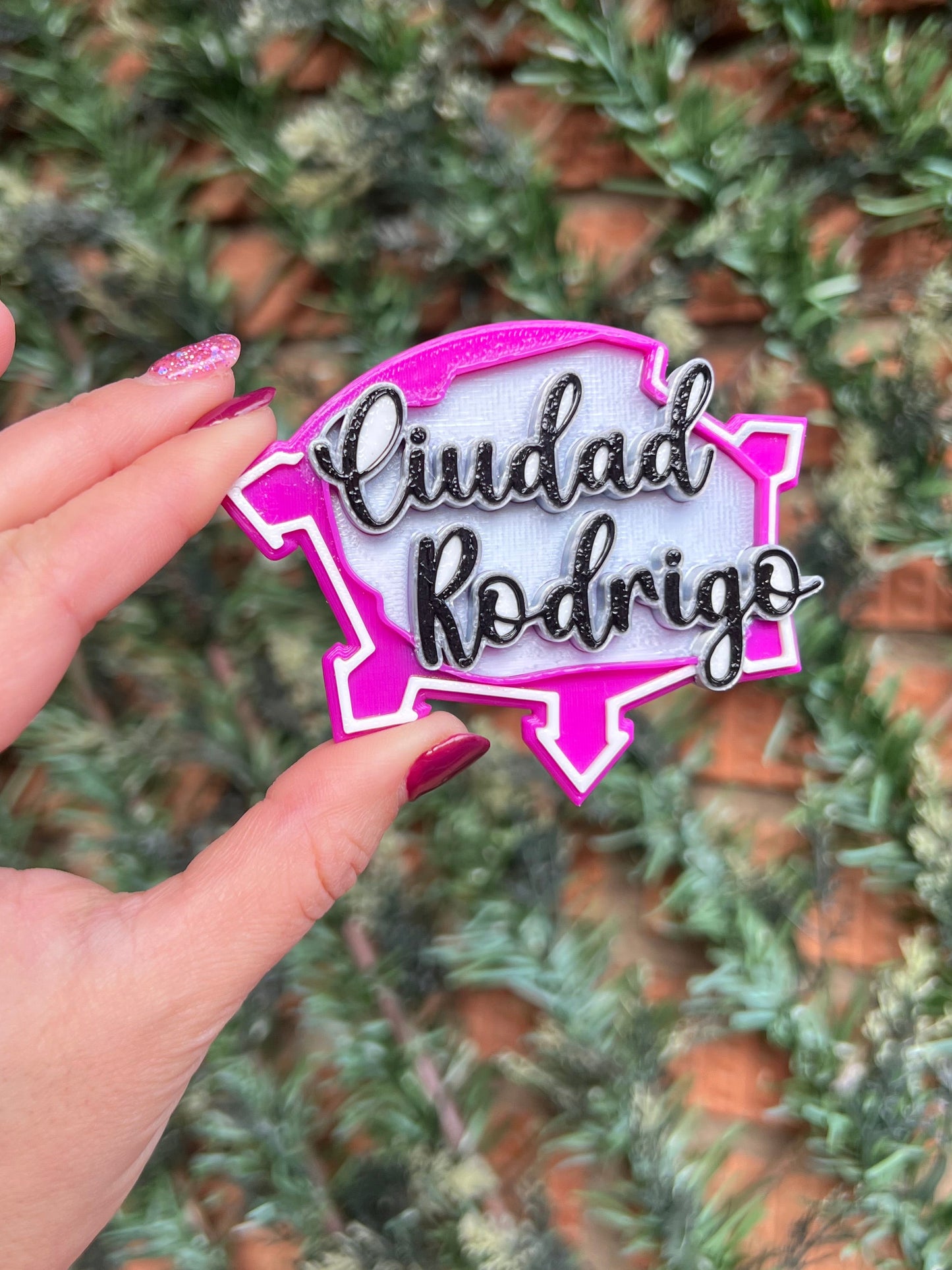 3D Ciudad Rodrigo